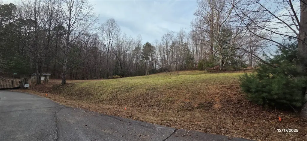 Picture 21