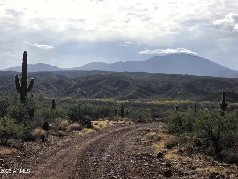 Benson, AZ Desert Land