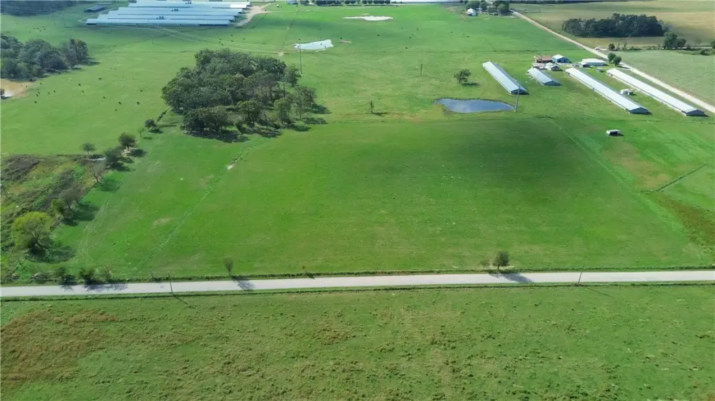Picture 12