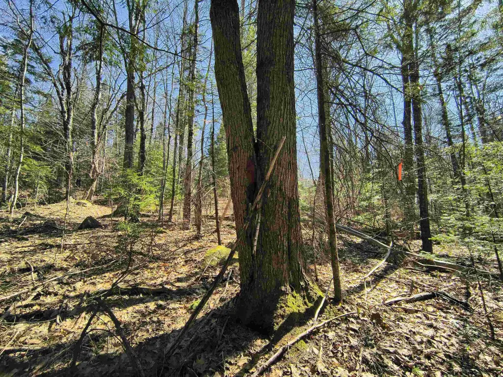 Picture 7