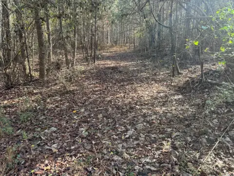 77 Acres in Alexander City