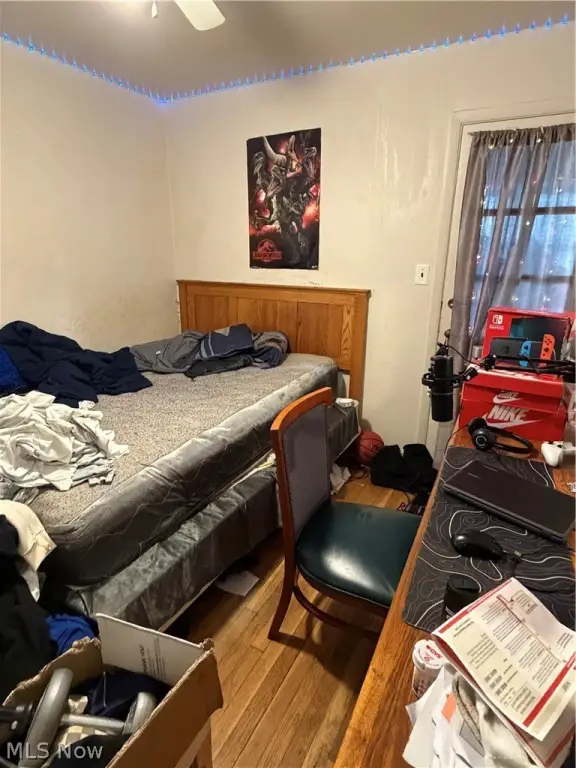 Picture 28
