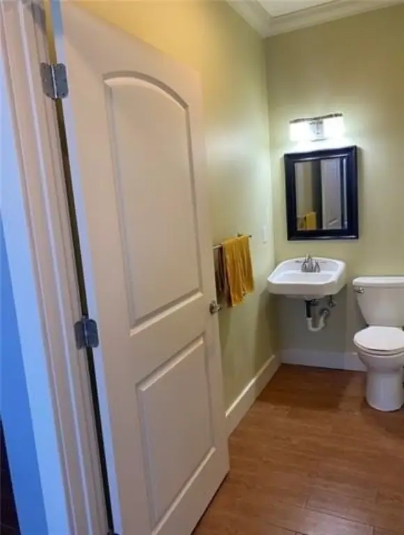 Picture 21