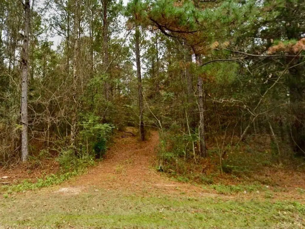 Picture 6