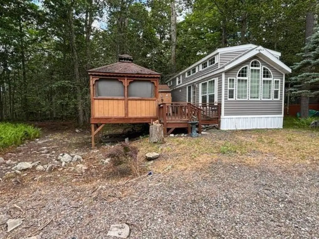 Picture 12