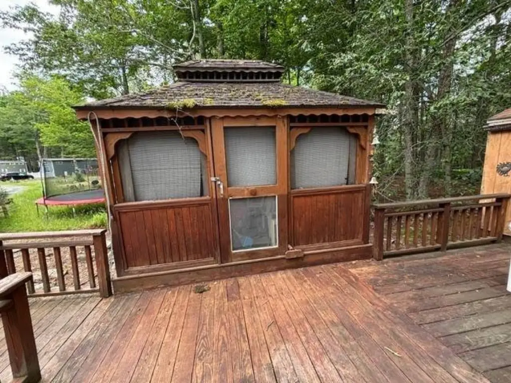 Picture 14