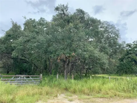 Picture of Land at 10400 E MOCCASIN SLOUGH Road, Inverness, FL