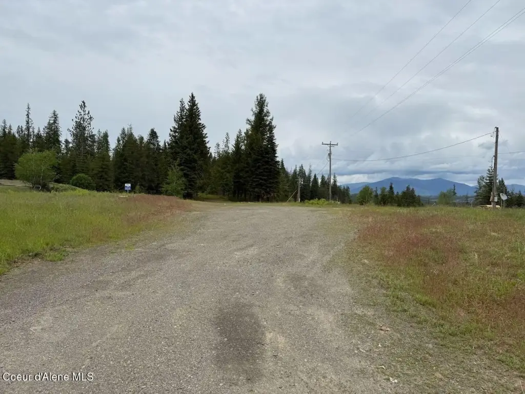 Picture 24