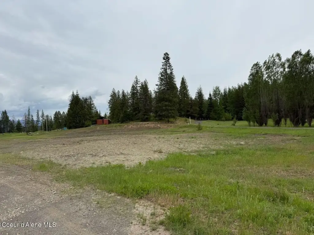 Picture 20