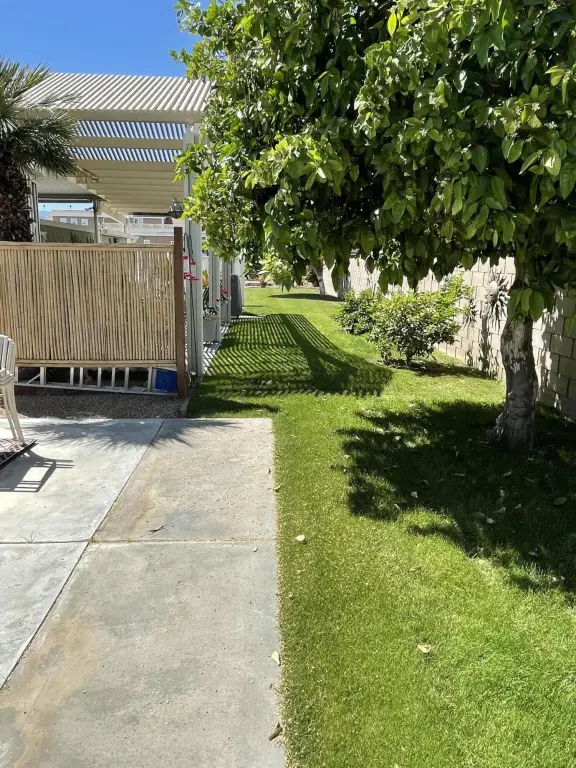 Picture 5