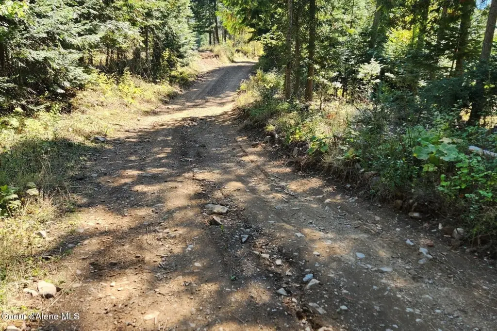 Picture 25