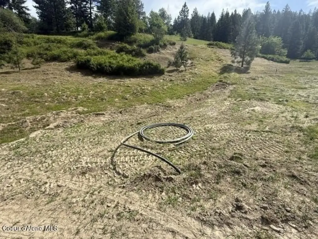 Picture 25