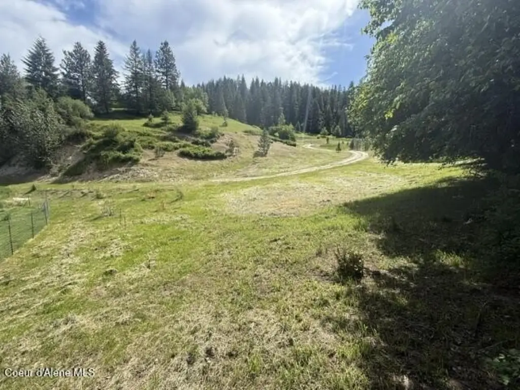 Picture 21