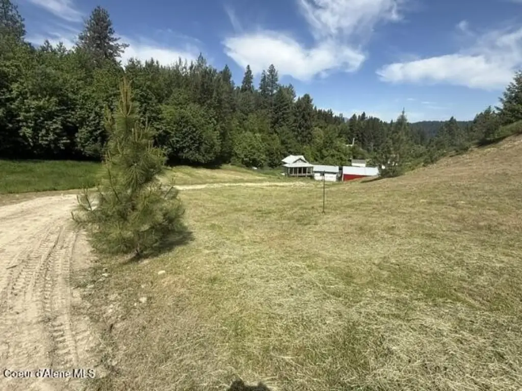 Picture 26