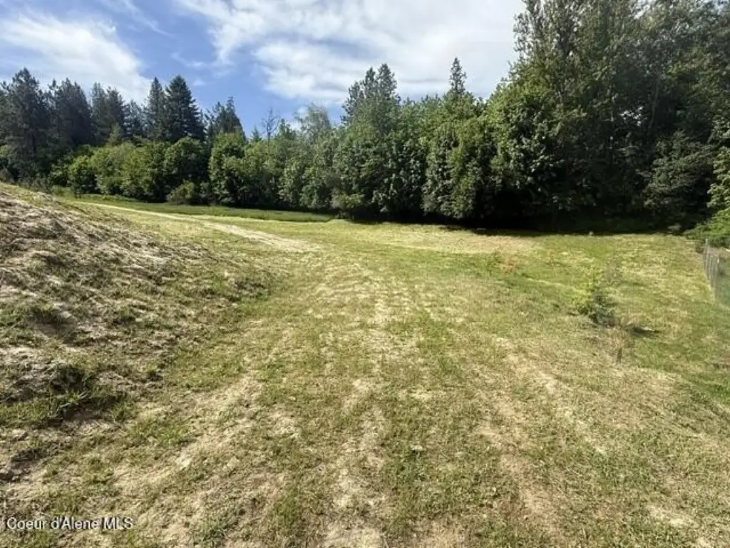 Picture 24