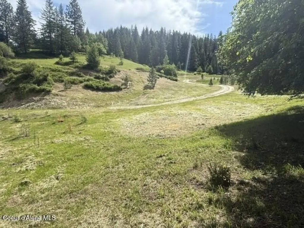 Picture 20