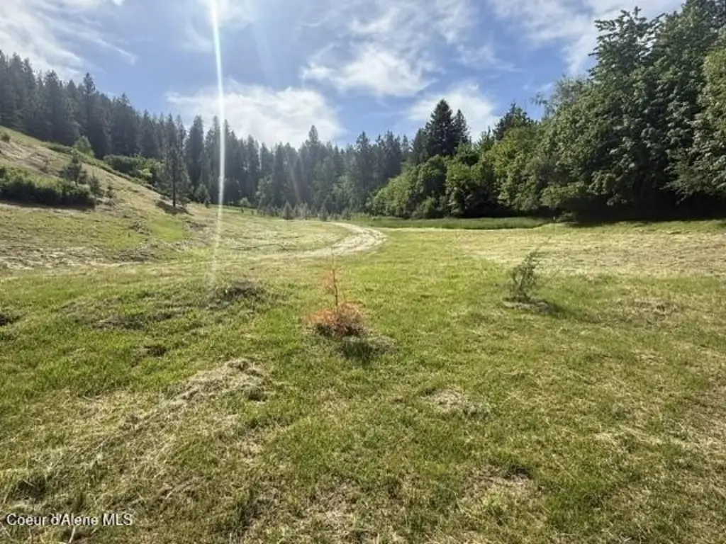 Picture 22