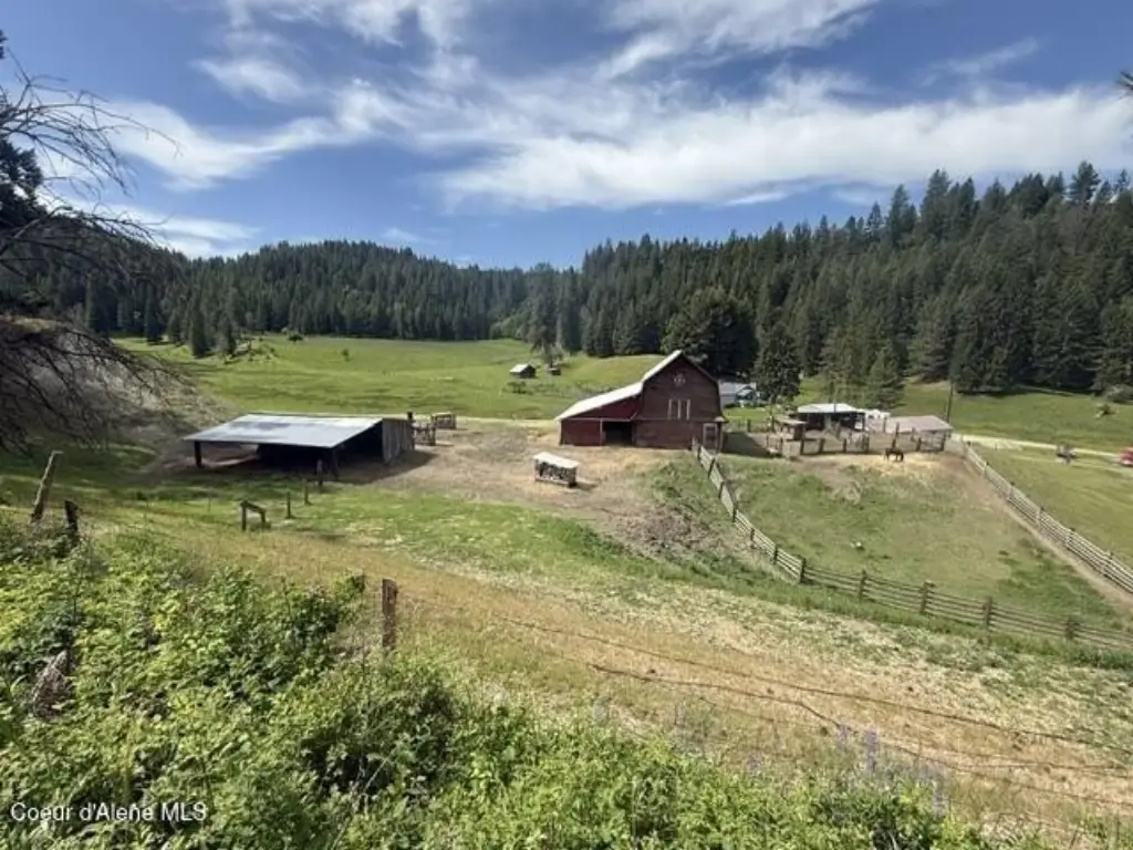 Picture 29