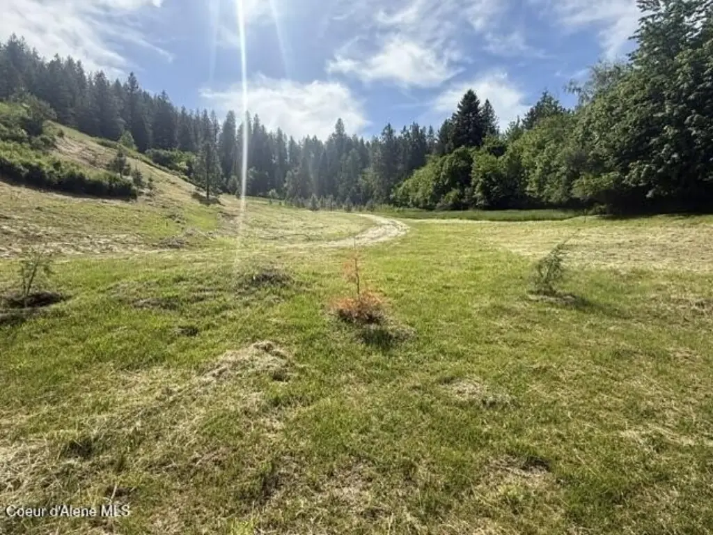 Picture 23
