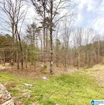 Land Lot in Taylor's Cove