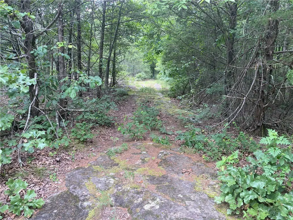Picture 24