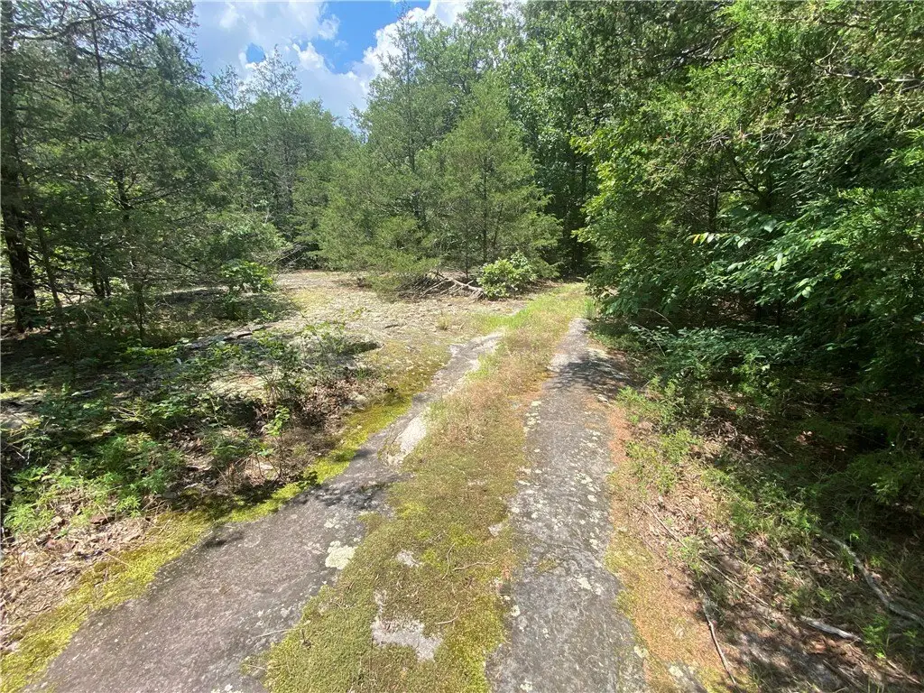 Picture 6