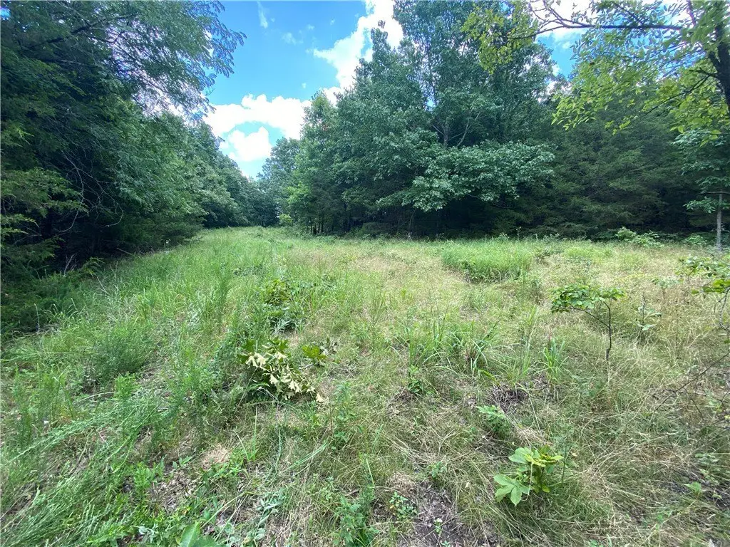 Picture 27