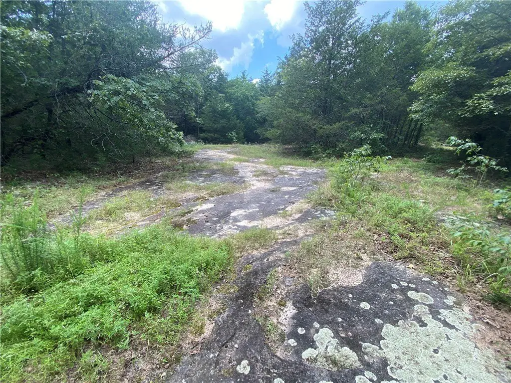 Picture 26