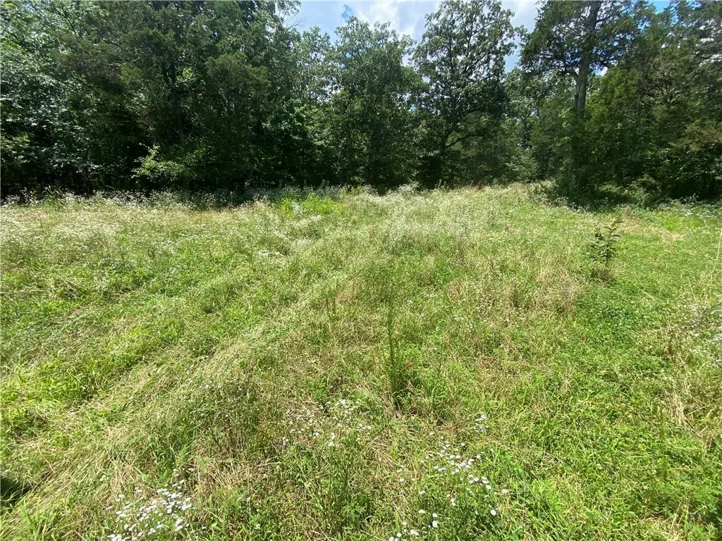 Picture 19
