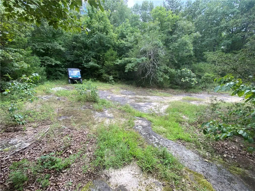 Picture 25