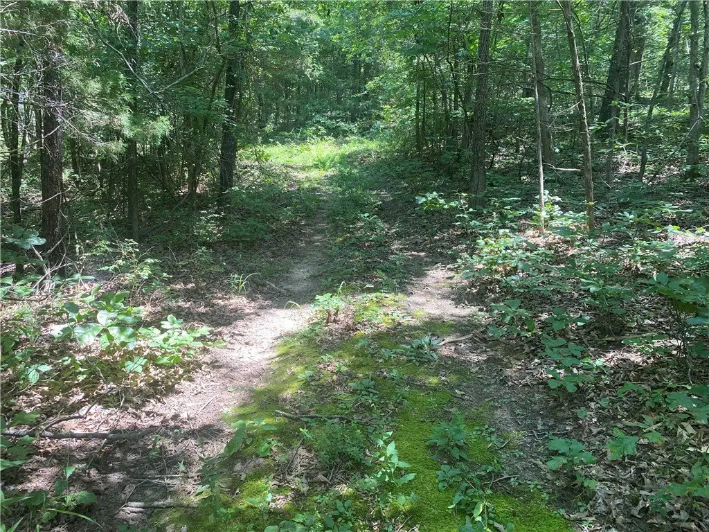 Picture 21