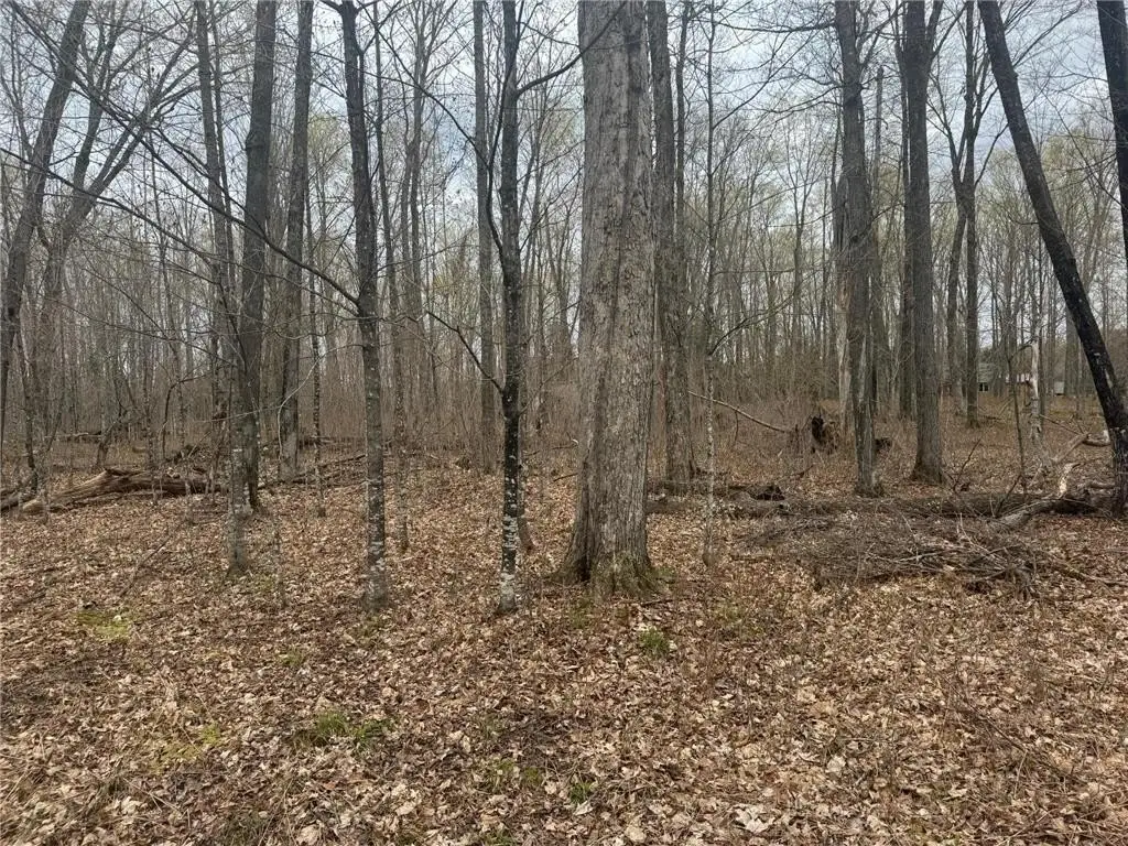 Picture 12
