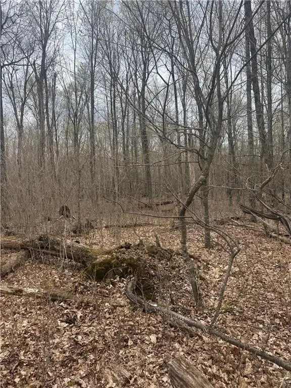 Picture 8