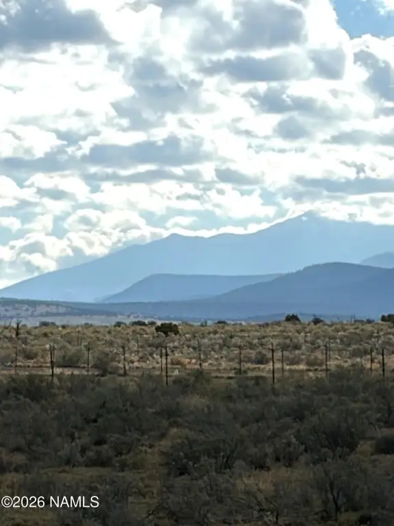 Picture 14