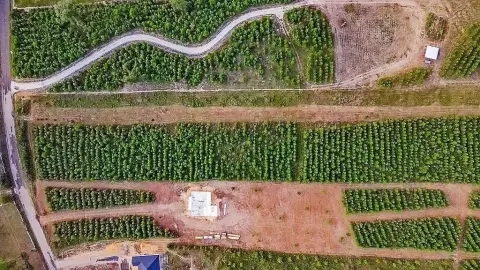 5 Acres of Scenic Land