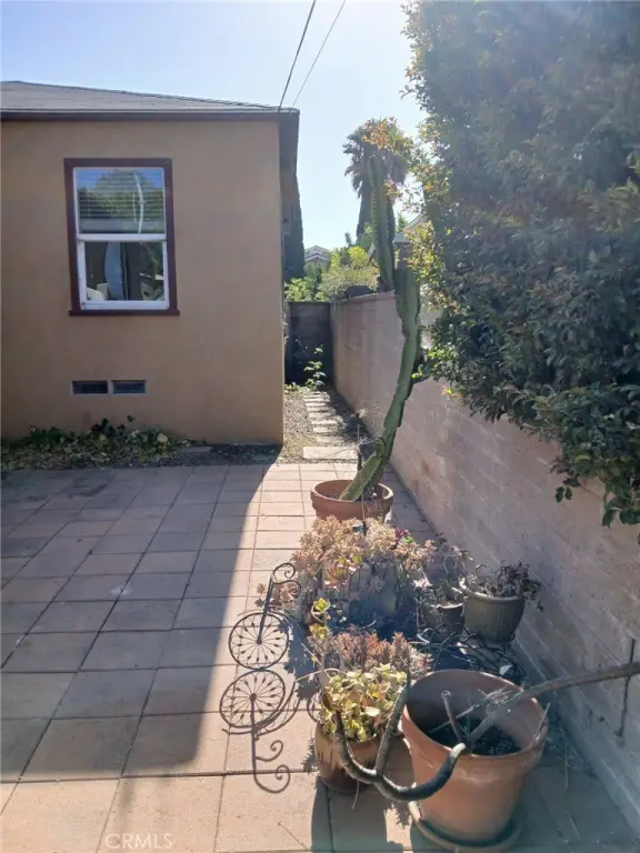 Picture 28