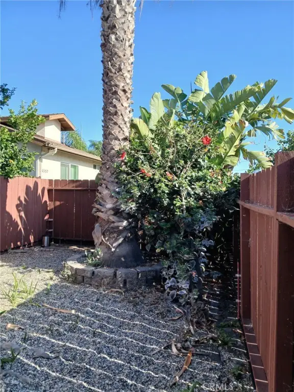 Picture 24
