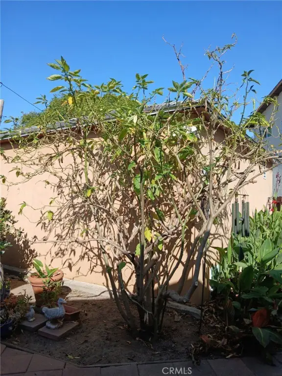 Picture 31