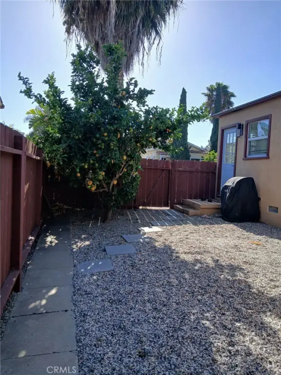 Picture 29