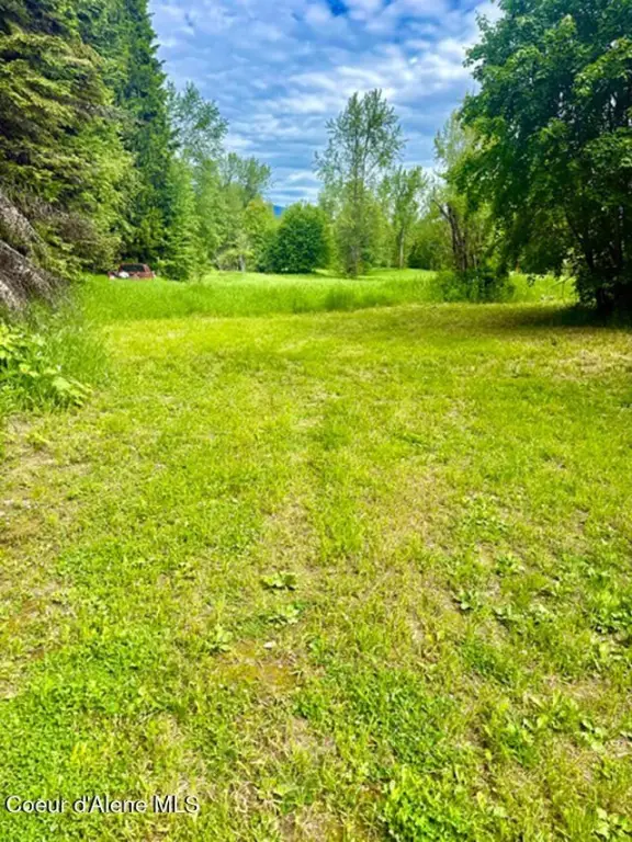 Picture 24