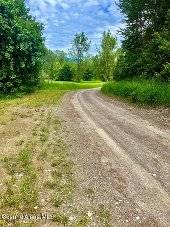 Picture 25