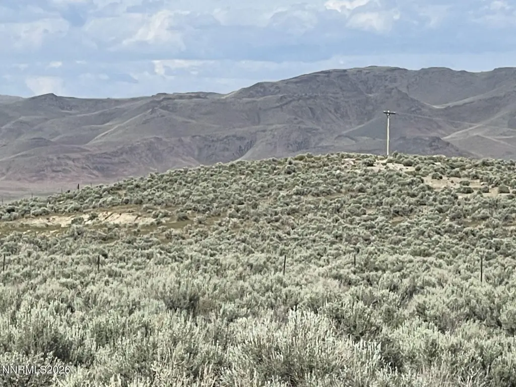 Picture 21