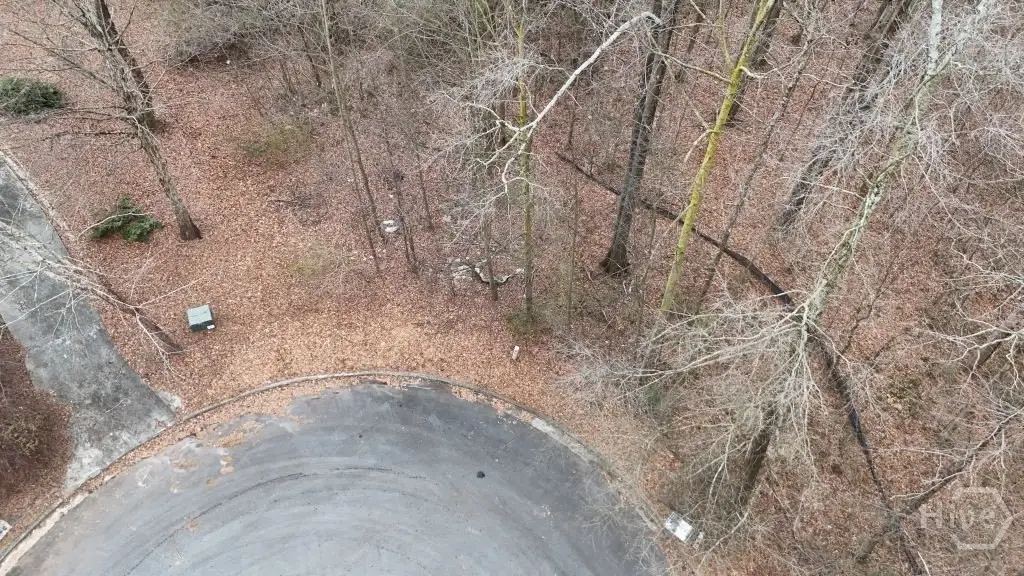 Picture 2