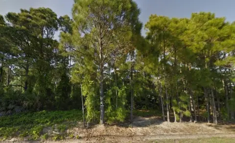 Residential Land in Palm Bay