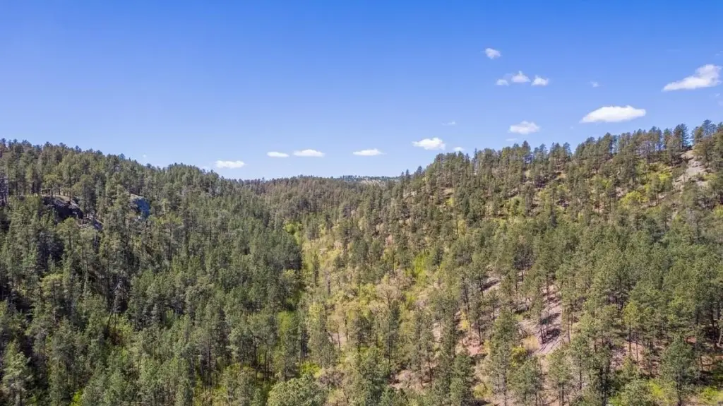 Picture 8