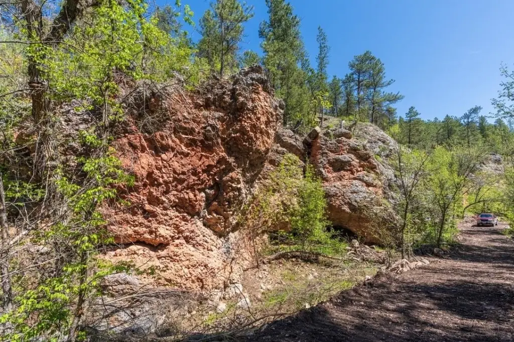 Picture 24