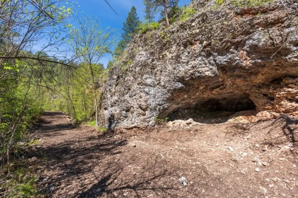 Picture 23