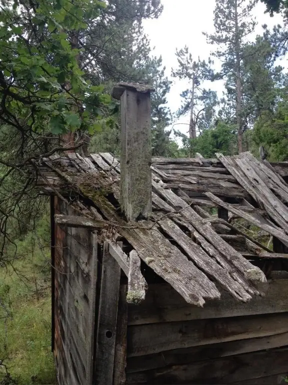 Picture 45