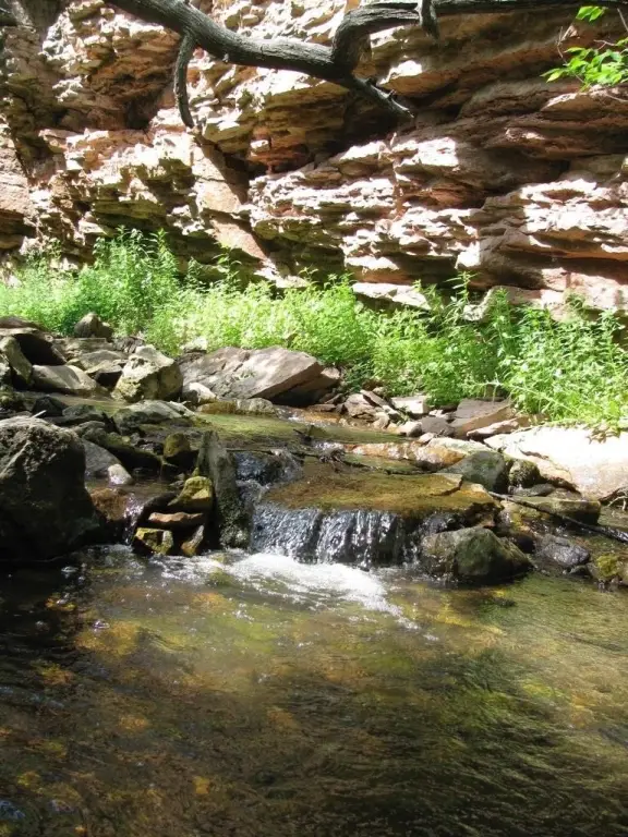 Picture 17