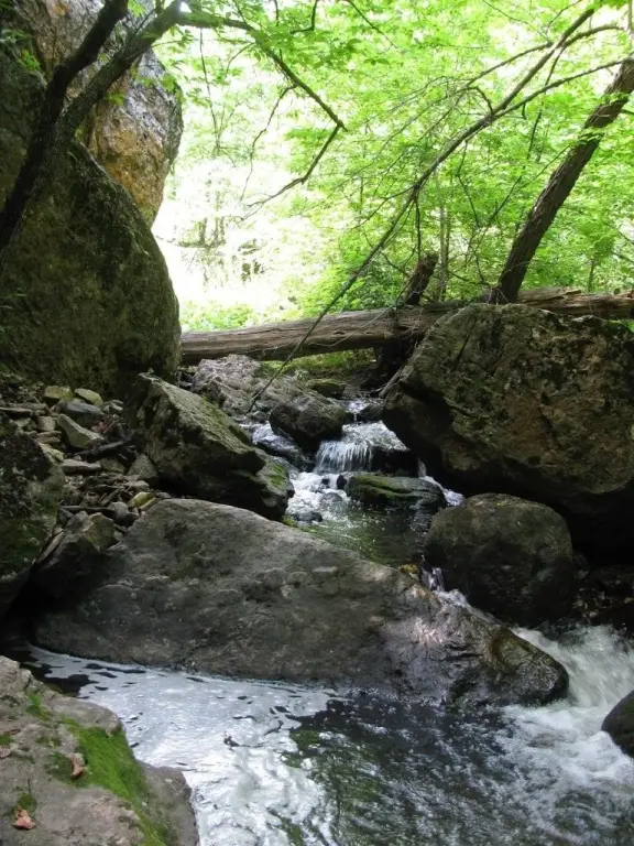 Picture 19